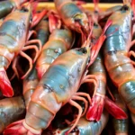 Олів’є з креветками та куркою