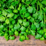 Скумбрія з овочами: рецепт запікання